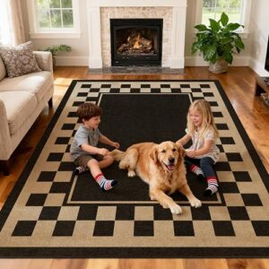 Washable 5x7 Checkered Bordered Easy Jute Indoor Outdoor Rug for Livingroom
