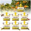 Wasp Traps Outdoor Hanging 6 Pack Disposable Yellow Jacket Traps Carpenter Bee Killer Bug Catcher Bags Outside Insect Control Farm Patio Lawn Garden
