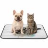 Watercolor Coastal Washable Pee Pads for Dogs 18"x24" Summer Sea Nuts Wooden Board Waterproof Non-Slip Dog Pads for Puppy, Senior & Incontinent Dogs Playpen, Travel Crate Liner Use