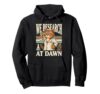 We Research At Dawn Cat Scientist Pullover Hoodie