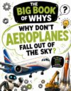 Why Don’t Aeroplanes Fall Out of the Sky?: And 99 Other Weird and Wonderful Machine Questions for Curious Kids (The Big Book of Whys)