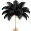 XunYee 12 Pcs Large Natural Ostrich Feathers 20-22inch Plumes, Black