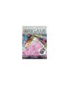 Yasutomo Origami Painted Paper Hodge Podge with 6 Patterns and 24 Sheets, Size 5 7/8” Square, Arts and Crafts Supplies