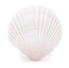 Yayiing 10Pcs Large Scallop Shells 4 5 Inch Sea Shells for Painting Coastal Decor Ocean Themed Party Decorations and Baking Suitable for Use