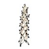YRQMGSF Tensioning Integral Model - Structural Fascia Tensile Model - Anatomical Dynamic Rehabilitation Model,A,12CM