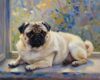 ZMHZMY Paint by Numbers for Teens Paint by Numbers Kits Pug Drawing Home Decor 16x20 Inch,Without Frame