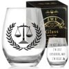 ZWV Funny Lawyer Wine Glass，lawyer Gifts for women, law school gifts