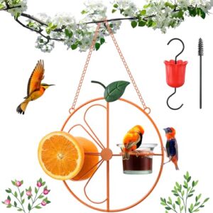 1 Pack Baltimore Oriole Feeder with Ant Moat & Glass Bowl(Orange)