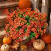 FANFANTOEY Artificial Flowers