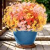LETUOCLIPS Artificial Morning Glory Flowers