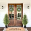 ZESUA 2 Pack 3FT Artificial Norfolk Pine Tree