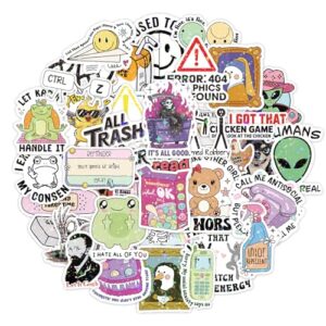 Bomichi 90 Pcs Funny Stickers for Adults, Waterproof Vinyl Holographic Shiny Meme Cute Sticker Pack for Laptop Water Bottles Book Hard Hat Car Bumper Scrapbook DIY