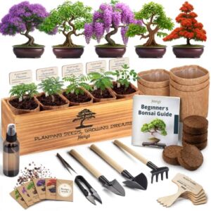 Bonsai Tree Kit Classic - Growing 5 Unique Japanese Bonzai Trees