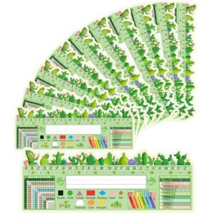 Faccito 40 Pcs Classroom Name Plates for Students Desks, Cactus Style