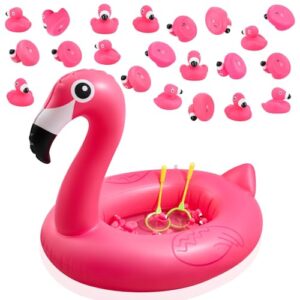 Flamingo Pond Matching Game for Kids,35" x 8" Kiddie Pool,20 Numbered Ducks