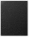 RAYSON 8.5" x 11" Black Leather Texture Binding Covers, 12 Mil Thick, 230gsm Paper, Un-Punched, Letter Size, 100 Pack