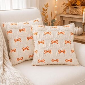 DITOTHER Thanksgiving Pillow Covers