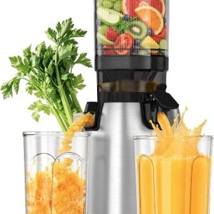 PSIIDAN Single Auger Masticating Juicer