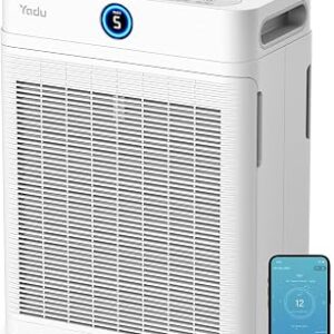 YADU Air Purifier