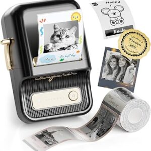 NIIMBOT Label Maker, B21 Pro 300DPI HD Sticker Printer for Photos, Black