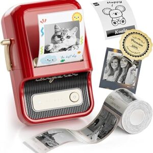 NIIMBOT Label Maker, B21 Pro 300DPI HD Sticker Printer for Photos, Red