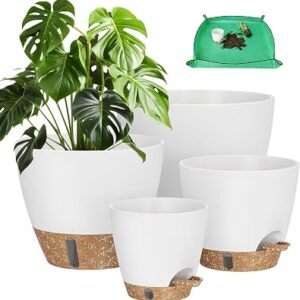 LIFENEST Watering Pots