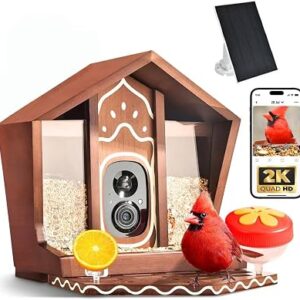 BIRDSTER Bamboo Smart Bird Feeder with Camera
