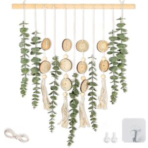 Artificial Eucalyptus Wall Hanging Decor, with Wooden Stick,Chic Boho Rustic Home wall Art Decor for Bathroom Bedroom Office Living Room (Artificial Eucalyptus Cream Tassels with Wooden Chip)