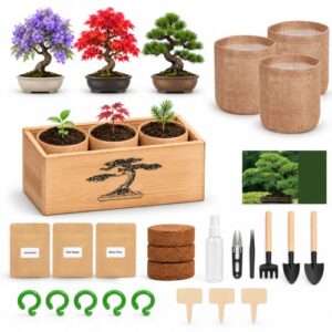 Bonsai Tree Growing Kit for Beginners, 3 Seed Varieties, | With Wooden Planter Box, Tool Set, Pruning Scissors, Soil Pods, Spray Bottle, Gift for Christmas New Year