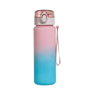 Cmafuca 22oz Insulated Water Bottle with Straw Stainless Steel Food Material Big Water Bottle Food Grade Waterbottle for Adults-Gradient Black For Sports,Travel,Hiking,Camping,Office