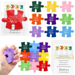 Meooeck 20 Set Team Employee Appreciation Gifts, May You Be Proud | Employee Appreciation Gifts Bulk, Inspirational Puzzle Stress Ball with Thank You Card for Office Employee Coworker Staff