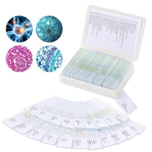 OOZSTAR 30 Microscope Slides with specimens, Plants, Insects, Animal Cell Samples for use in Biological Science Labs for Children, Students and homeschools