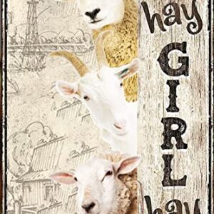 Vintage Goat Decor Gift Metal Tin Sign for Retro Farm Home Kitchen Room Farmhouse Garage Coffee Bar Wall Decor Art Poster Gifts - Hay Girl Hay - 8x12 in