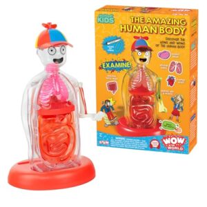Wow in the World: The Amazing Human Body | Biology Set | Explore a See-Through Interactive Body Model | STEM Science Learning & Education | Ages 4+