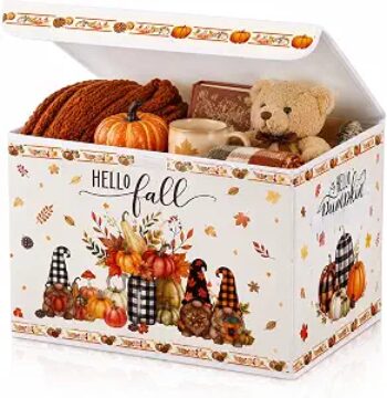 Briwooody Fall Storage Bin with Lid and Carrying Handle Gnome Storage Box