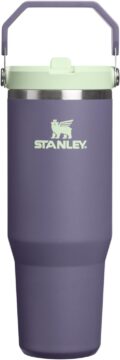 STANLEY IceFlow 2.0 Flip Straw Tumbler, 30 oz