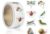 1000Pcs Insect Stickers,1 Inch Reward Stickers in 16 Patterns,Film Cartoon Decal 2 Rolls Spring Insect Animals Stickers Self Adhesive Seals Water Bottle Scrapbook Incentive Sticker for Classroom