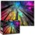 1000 Piece Jigsaw Puzzles for Adults, Rainbow Galaxy Night Sky and Tree Silhouettes, Colorful Starry Forest Landscape Puzzle, Relaxing Family Game Home Decor