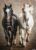 1000 Pieces Jigsaw Puzzle for Adults Black and White Horses Intellectual Decompressing Educational Fun Game Puzzle Collectibles DIY Toys for Family Friends Activities 19.69×27.56in