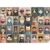 1000 Pieces Jigsaw Puzzles for Adults – Vibrant Cat Faces – Fun and Challenging Cat Puzzle for Family and Friends Group Play -Challenging Puzzle Perfect for Game Nights 19.7×27.6 in Includes Poster