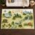 100 Acre Wood Map The Jungle Rug Carpet Area Rugs Shag Rug Modern Fluffy Living Room Outdoor for Boys Girls Kids Room Home Decor (Woodland 5, 2′ x 3′ (Rectangular))