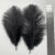 100 Pcs Feather Bulk, Natural Soft Black Feathers with Sturdy Stem, 6-8 in / 15-20 cm Craft Feathers for Wedding Decor, Vase, Costume, Masquerade, DIY Arts and Party Centerpieces
