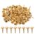 100pcs Head Iron Brads for School Projects, Mini Golden Fasteners