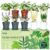 10 Indoor Herb Garden Kit, 33pcs Complete Kitchen Herb Starter Set Including 4-Color Pots, Soil & Tools, Unique Gift Ideas for Plant Lovers, Women, Men, Mom, Friend, Birthday, Housewarming, Christmas