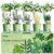 10 Indoor Herb Garden Kit, 54pcs Complete Kitchen Herb Starter Set Including 2-Color Self Watering Pots, Soil & Tools, Unique Gift Ideas for Plant Lovers, Women, Men, Friend, Birthday, Housewarming