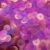 10mm Flat Sequins Bright Berry Crystal Rainbow Iris Made in USA