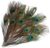10 Pcs Natural Real Peacock Eye Tail Feathers for Wedding Party Home DIY