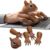 10Pcs Realistic Rubber Squirrel Finger Puppets, Washable Interactive