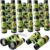 12 Pack Kids Binoculars Bulk Camouflage Compact Binocular Jungle Safari Binoculars Outdoor for Boys Girls Explorers Hunting Party Favors