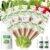 12 Pod Vegetable Seed Pod Kit for AeroGarden, idoo, Ahopegarden, Gardencube with American Fast Lettuce, Chrysanthemum, Pak Choi and Radish – Compatible with All Hydroponics